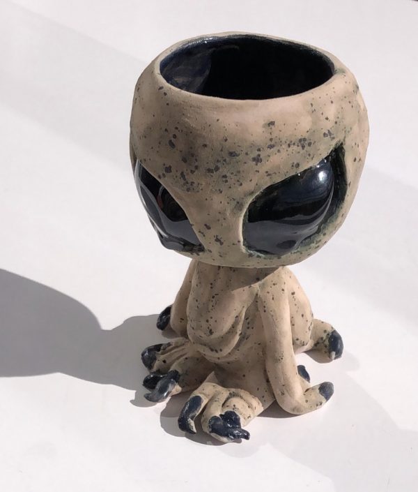 Entidad botánica no identificada  (viene en son de paz y pide riego moderado)