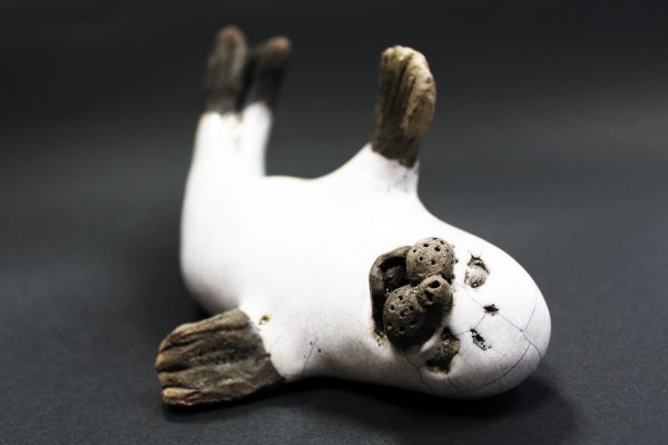 Foca en su mejor vida  (no pregunta, no se justifica, disfruta)