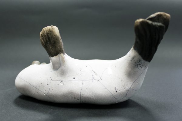 Foca en su mejor vida  (no pregunta, no se justifica, disfruta)