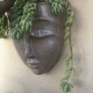 Meditación clorofílica  (pensando en verde)