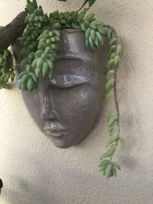 Meditación clorofílica  (pensando en verde)